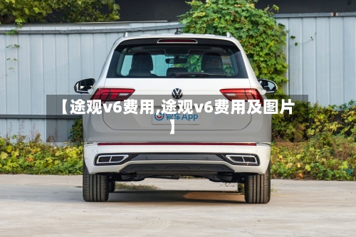 【途观v6费用,途观v6费用及图片】