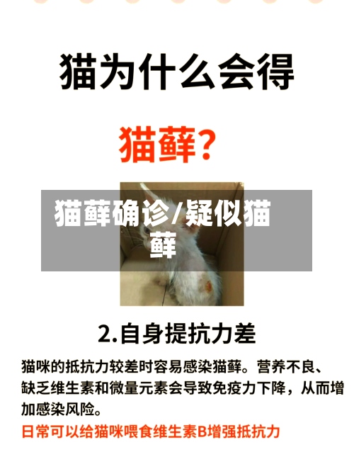 猫藓确诊/疑似猫藓