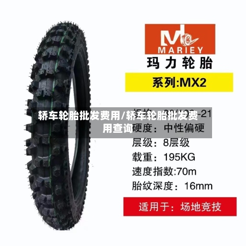 轿车轮胎批发费用/轿车轮胎批发费用查询