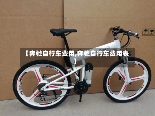 【奔驰自行车费用,奔驰自行车费用表】-第3张图片