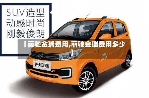 【丽驰金瑞费用,丽驰金瑞费用多少】