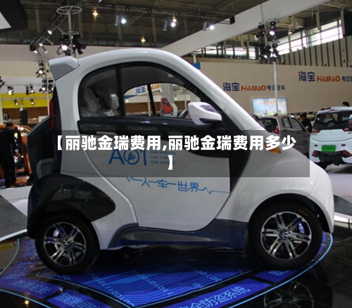 【丽驰金瑞费用,丽驰金瑞费用多少】-第2张图片