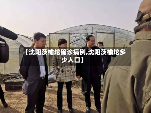 【沈阳茨榆坨确诊病例,沈阳茨榆坨多少人口】