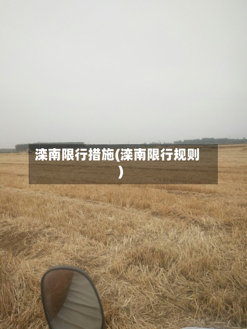 滦南限行措施(滦南限行规则)