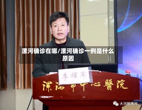 漯河确诊在哪/漯河确诊一例是什么原因-第3张图片