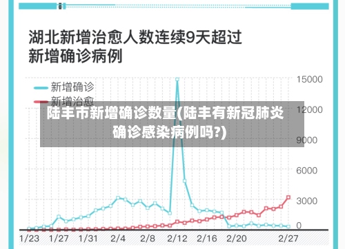 陆丰市新增确诊数量(陆丰有新冠肺炎确诊感染病例吗?)-第2张图片