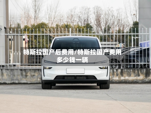 特斯拉国产后费用/特斯拉国产费用多少钱一辆-第2张图片