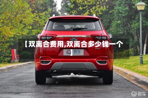 【双离合费用,双离合多少钱一个】