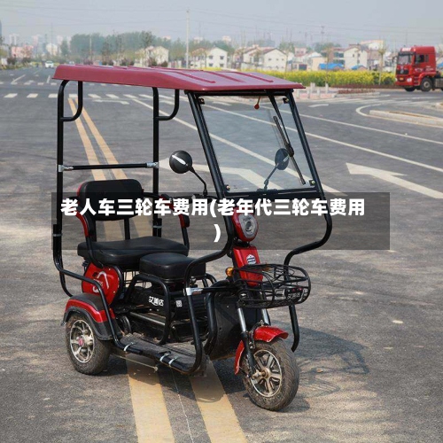 老人车三轮车费用(老年代三轮车费用)-第3张图片