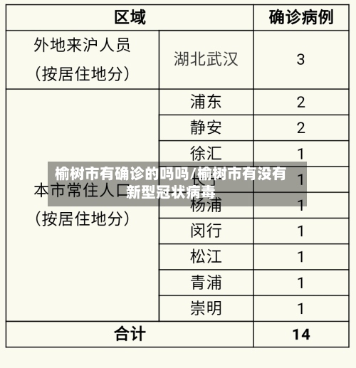 榆树市有确诊的吗吗/榆树市有没有新型冠状病毒-第2张图片