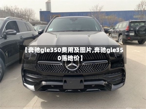 【奔驰gle350费用及图片,奔驰gle350落地价】-第3张图片