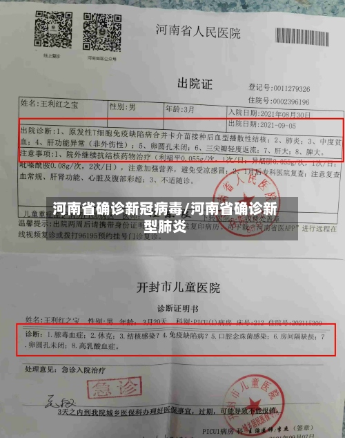 河南省确诊新冠病毒/河南省确诊新型肺炎-第3张图片
