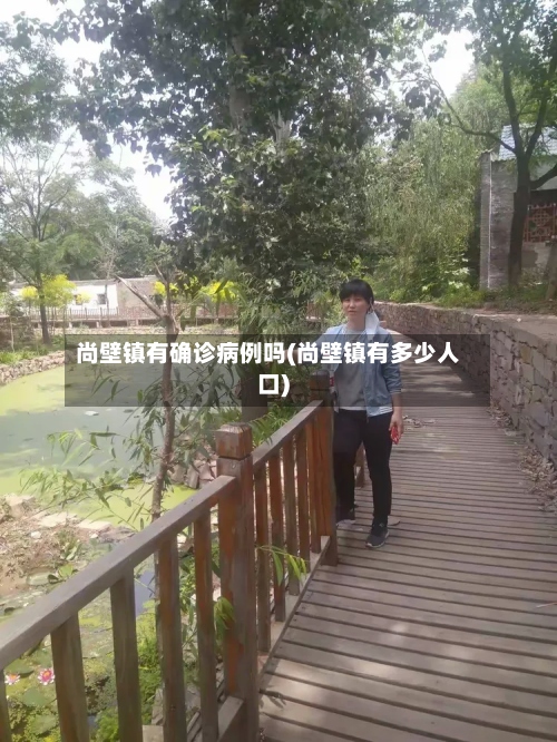 尚壁镇有确诊病例吗(尚壁镇有多少人口)