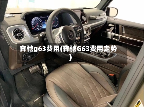 奔驰g63费用(奔驰G63费用走势)