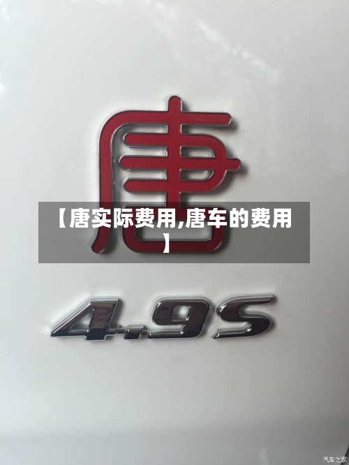 【唐实际费用,唐车的费用】-第2张图片