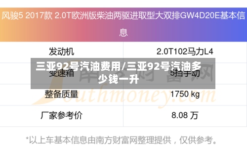 三亚92号汽油费用/三亚92号汽油多少钱一升