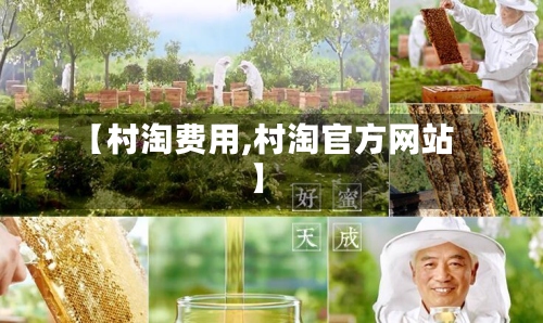 【村淘费用,村淘官方网站】-第3张图片