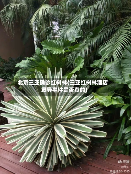 北京三亚确诊红树林(三亚红树林酒店灵异事件是否真的)