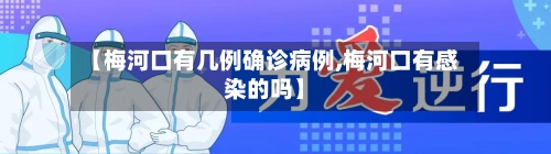 【梅河口有几例确诊病例,梅河口有感染的吗】-第2张图片
