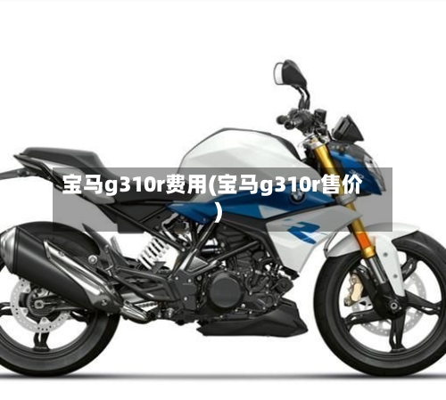 宝马g310r费用(宝马g310r售价)-第2张图片