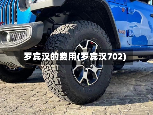 罗宾汉的费用(罗宾汉702)-第2张图片