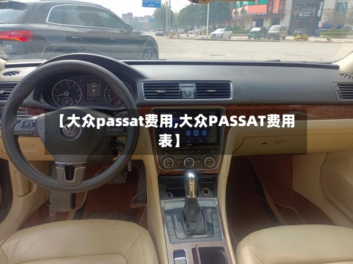 【大众passat费用,大众PASSAT费用表】-第2张图片