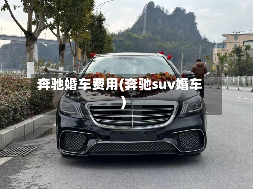 奔驰婚车费用(奔驰suv婚车)