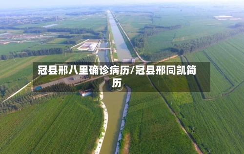 冠县邢八里确诊病历/冠县邢同凯简历