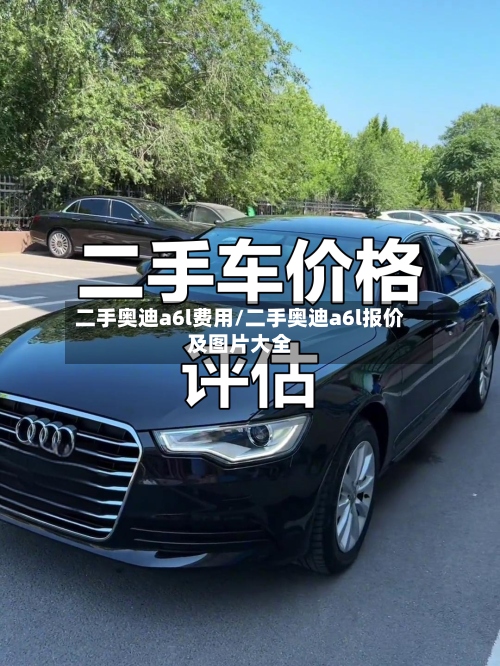 二手奥迪a6l费用/二手奥迪a6l报价及图片大全-第3张图片