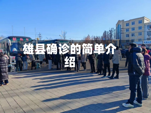 雄县确诊的简单介绍