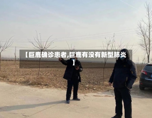 【巨鹿确诊患者,巨鹿有没有新型肺炎】-第3张图片