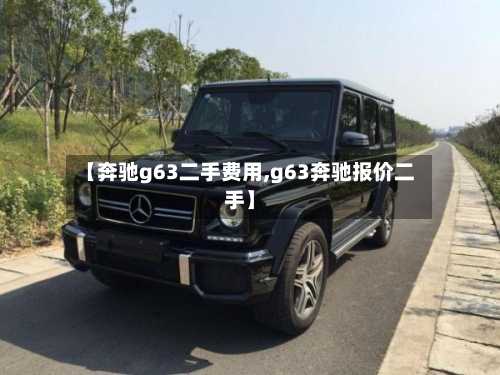 【奔驰g63二手费用,g63奔驰报价二手】-第2张图片