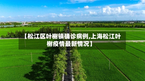 【松江区叶榭镇确诊病例,上海松江叶榭疫情最新情况】