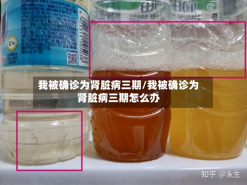 我被确诊为肾脏病三期/我被确诊为肾脏病三期怎么办