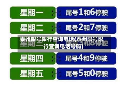 泰州限号限行查询电话(泰州限号限行查询电话号码)-第3张图片