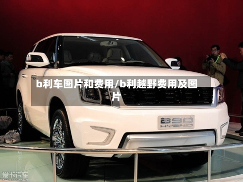 b利车图片和费用/b利越野费用及图片-第3张图片