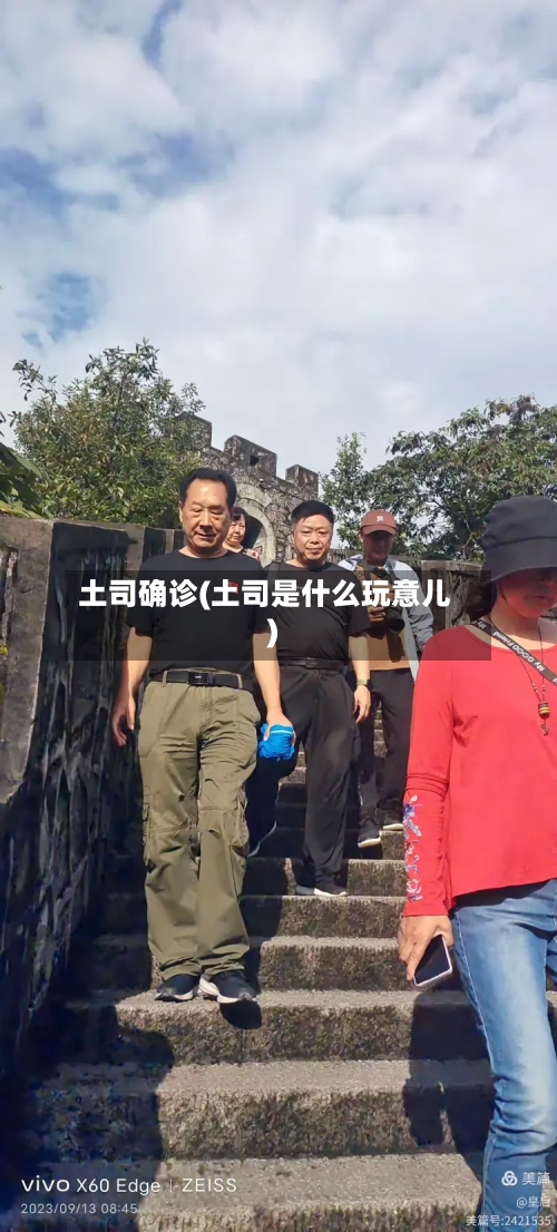 土司确诊(土司是什么玩意儿)