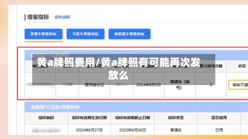黄a牌照费用/黄a牌照有可能再次发放么-第2张图片