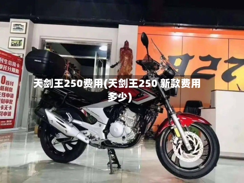 天剑王250费用(天剑王250 新款费用多少)-第3张图片