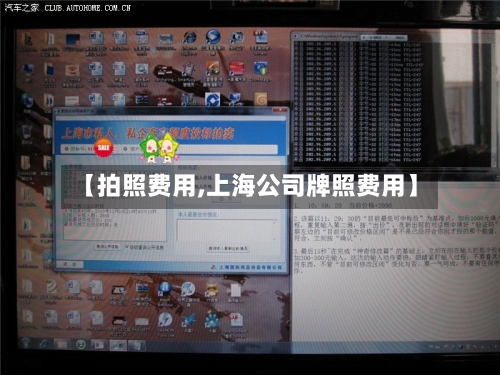 【拍照费用,上海公司牌照费用】-第3张图片