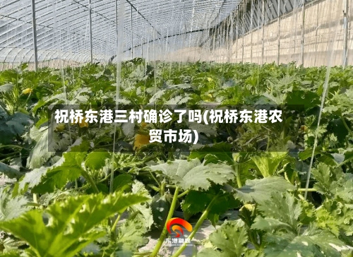 祝桥东港三村确诊了吗(祝桥东港农贸市场)-第3张图片