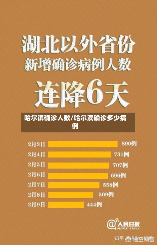 哈尔滨确诊人数/哈尔滨确诊多少病例-第3张图片