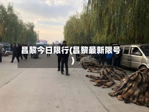 昌黎今日限行(昌黎最新限号)-第2张图片