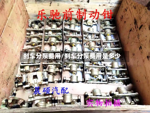 刹车分泵费用/刹车分泵费用是多少-第3张图片
