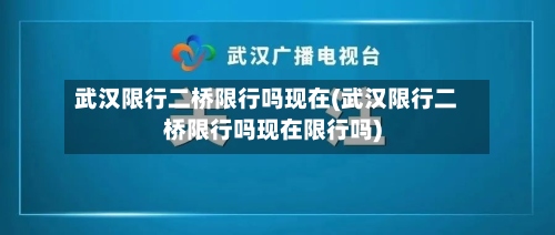 武汉限行二桥限行吗现在(武汉限行二桥限行吗现在限行吗)-第2张图片