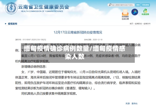 缅甸疫情确诊病例数量/缅甸疫情感染人数-第2张图片