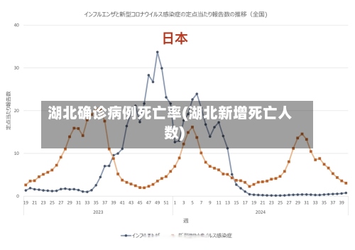 湖北确诊病例死亡率(湖北新增死亡人数)-第2张图片