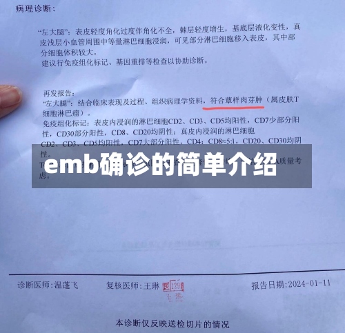 emb确诊的简单介绍-第3张图片