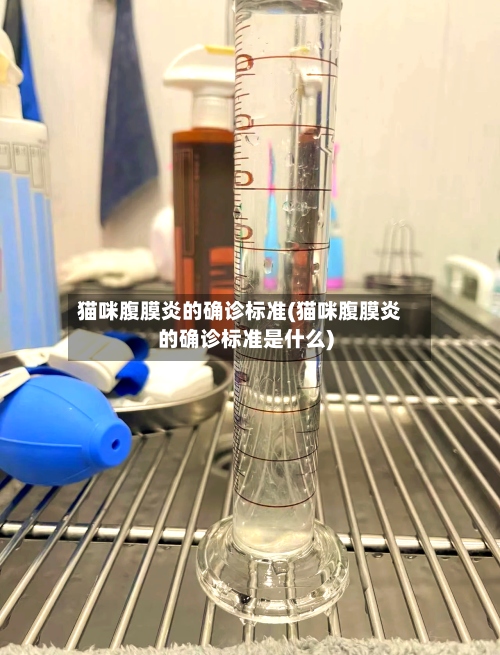 猫咪腹膜炎的确诊标准(猫咪腹膜炎的确诊标准是什么)