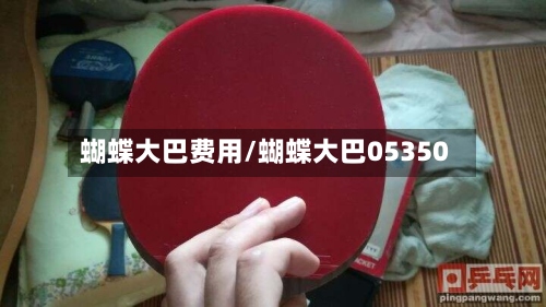 蝴蝶大巴费用/蝴蝶大巴05350